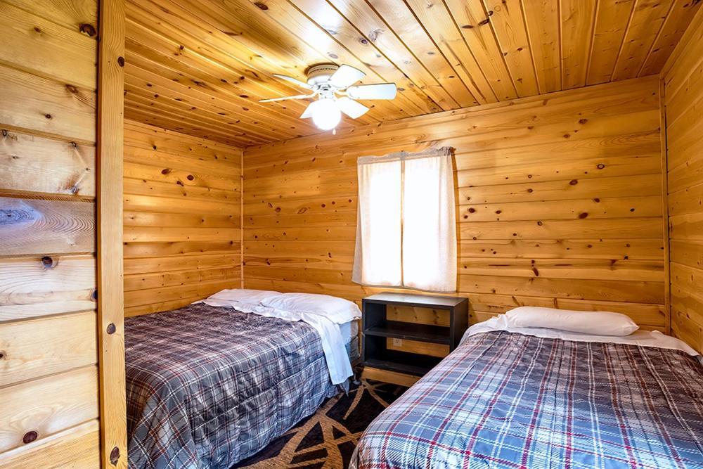 Big River Escape Riverside Cabins Buffalo City Exteriér fotografie